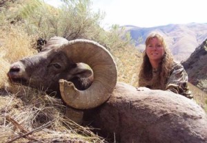 Oregon record-book Bighorn Sheep